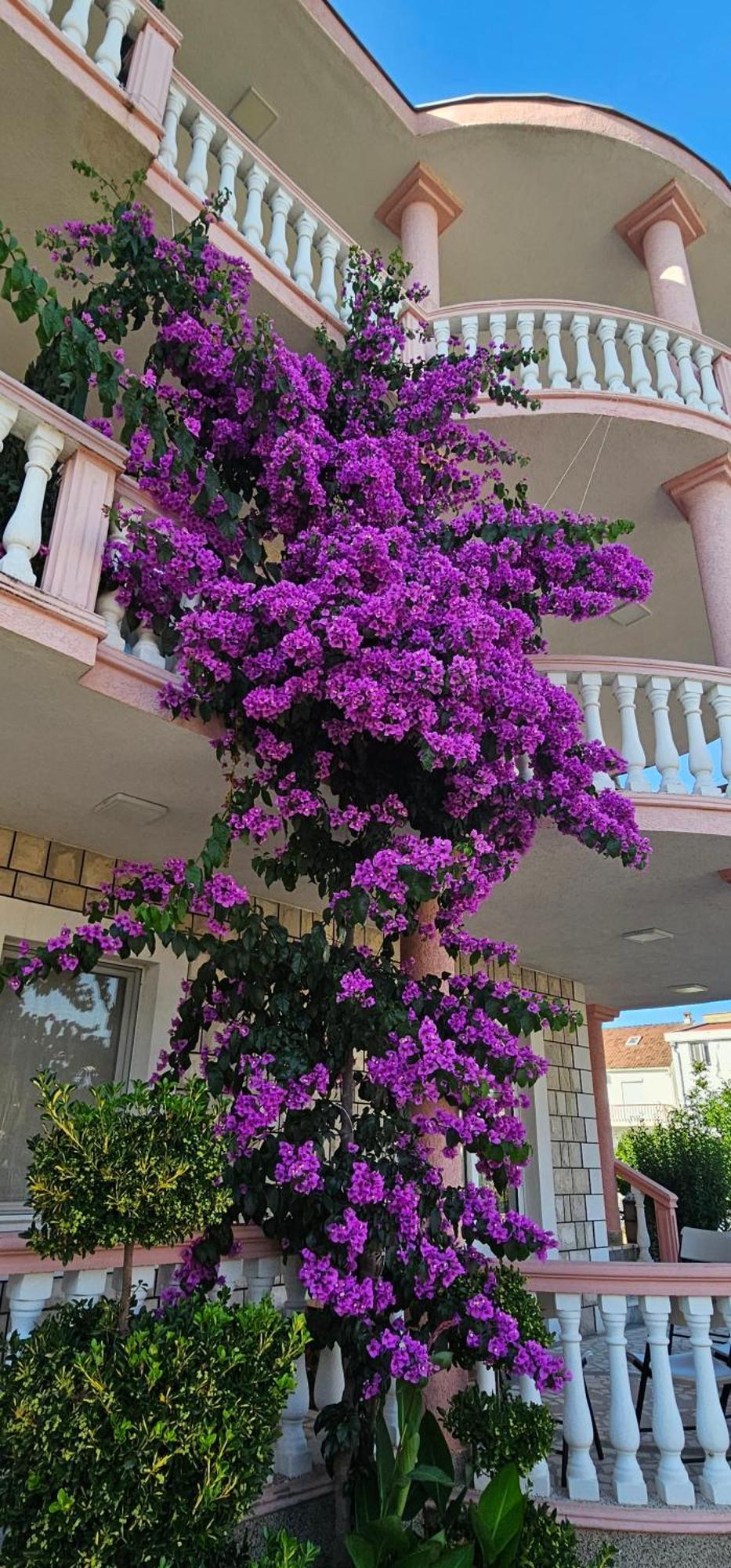 Kurt Apartaments Ulcinj Ngoại thất bức ảnh